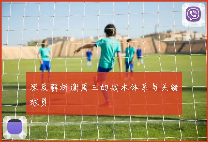 深度解析谢周三的战术体系与关键球员