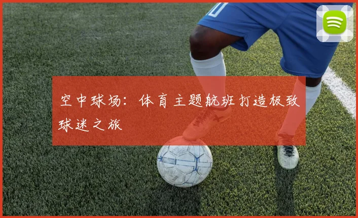 空中球场：体育主题航班打造极致球迷之旅