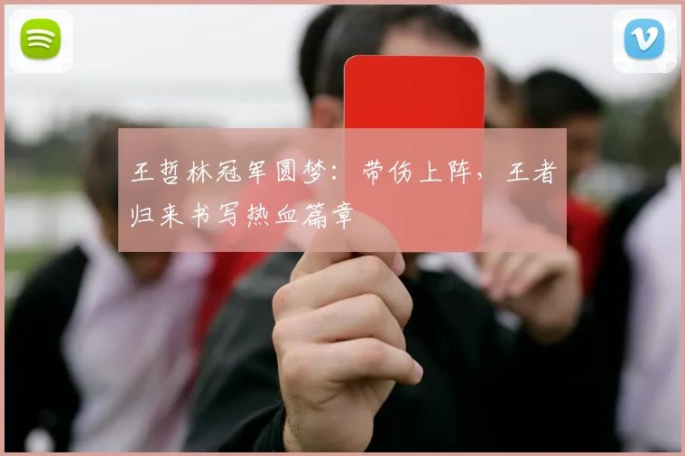 王哲林冠军圆梦:带伤上阵,王者归来书写热血篇章